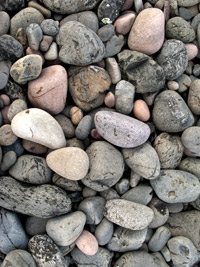 SHore Stones 